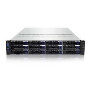 网昱C2-I2双路通用服务器